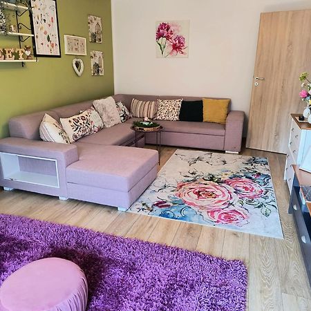 Sweet Garden Residence ブラショフ エクステリア 写真