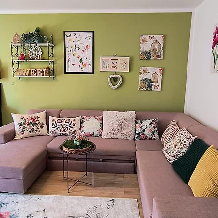 Sweet Garden Residence ブラショフ エクステリア 写真
