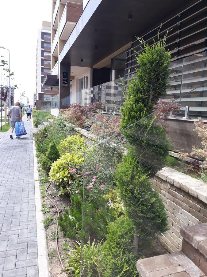 Sweet Garden Residence ブラショフ エクステリア 写真